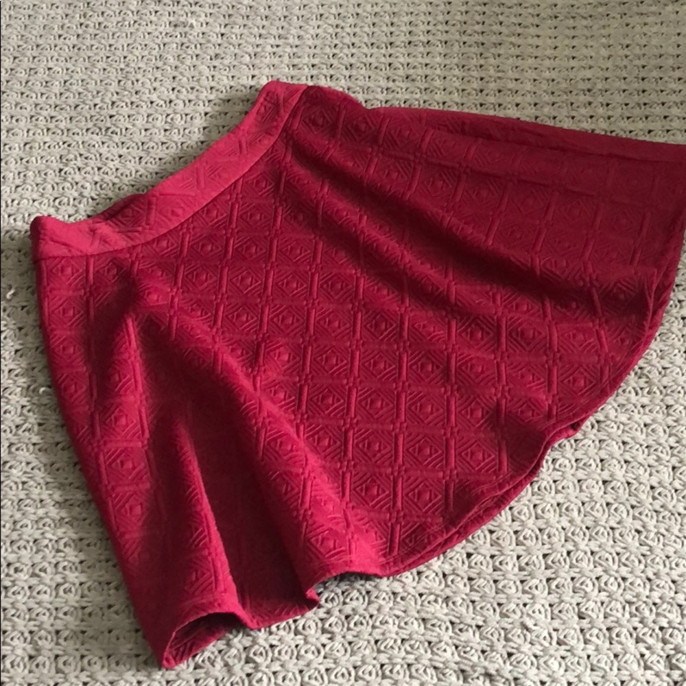 Raspberry Skater Skirt with Gold Zipper